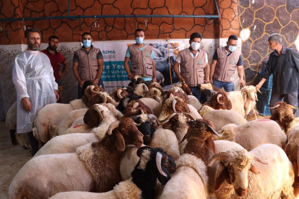 Qurbani Rules After hajj