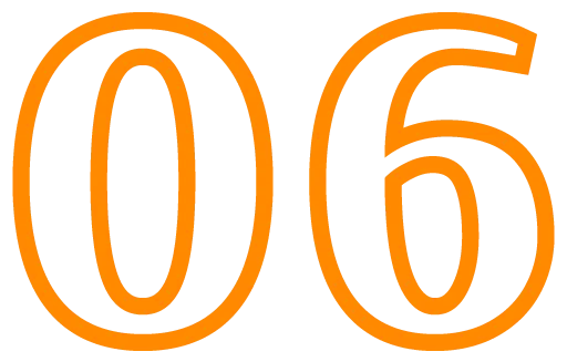 06
